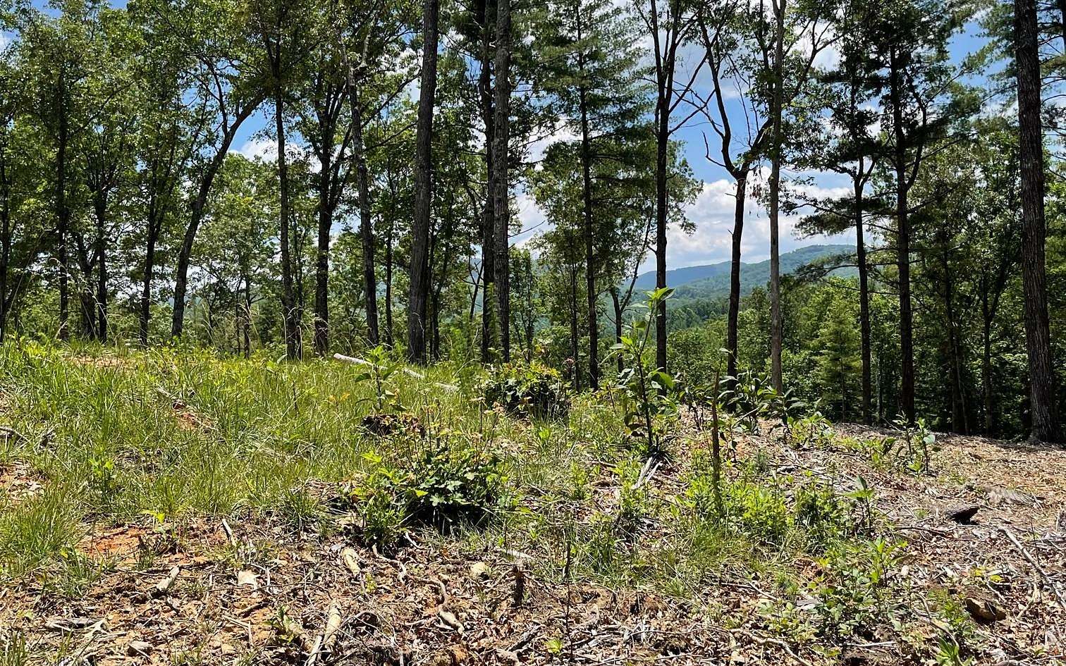 1.9 Acres of Land for Sale in Morganton, Georgia