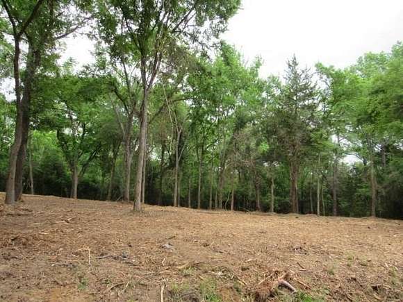 4 Acres of Land for Sale in Palestine, Texas