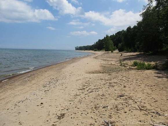 5.5 Acres of Residential Land for Sale in Palms, Michigan