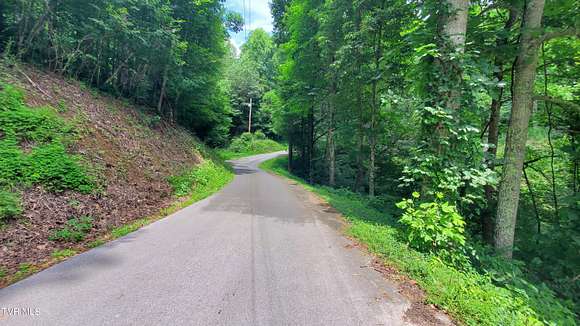 4.6 Acres of Residential Land for Sale in Roan Mountain, Tennessee