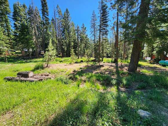 0.31 Acres of Residential Land for Sale in Tamarack, California