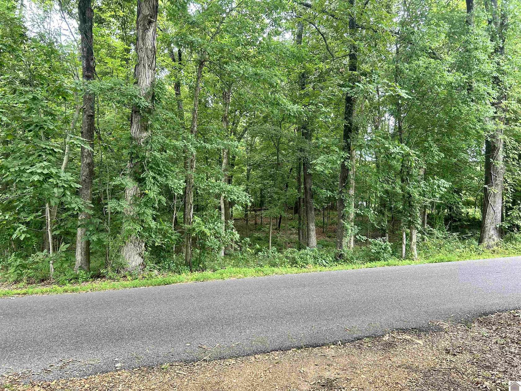 4.45 Acres of Residential Land for Sale in Massac, Kentucky