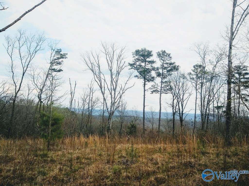 36 Acres of Recreational Land for Sale in Boaz, Alabama