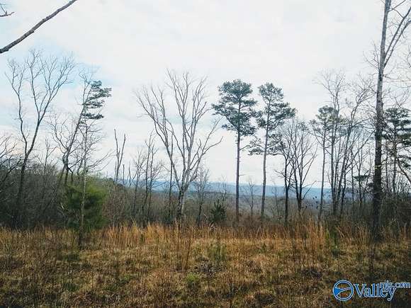 36 Acres of Recreational Land for Sale in Boaz, Alabama