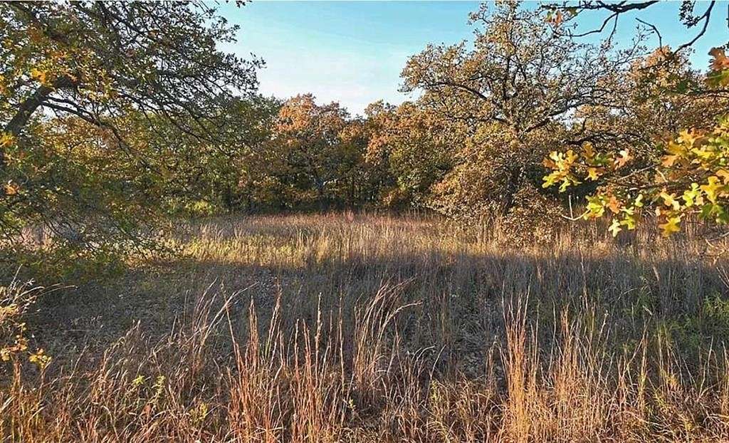 0.556 Acres of Residential Land for Sale in Nocona, Texas