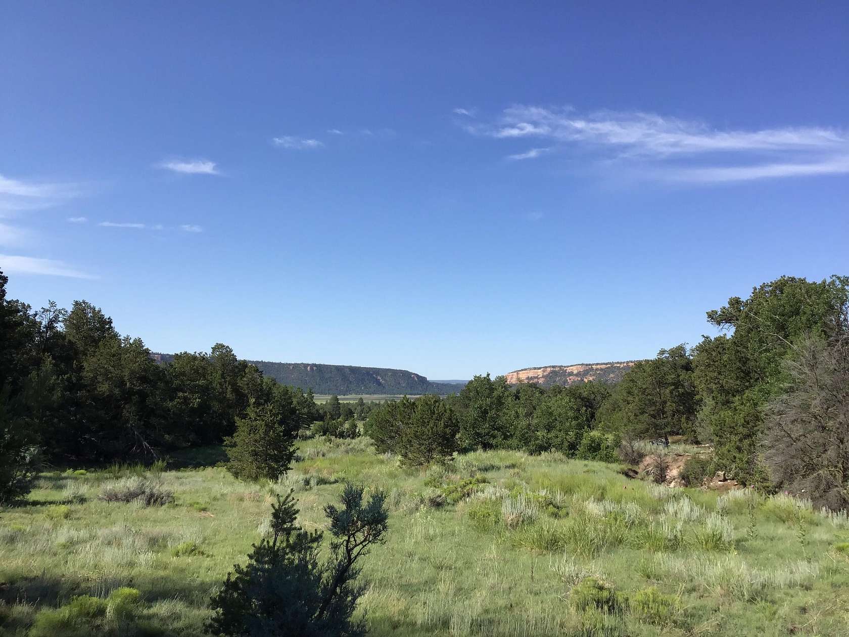 12.53 Acres of Recreational Land for Sale in Ramah, New Mexico