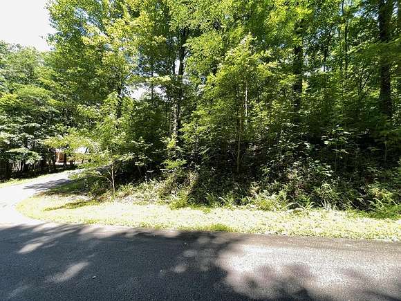 1.123 Acres of Land for Sale in Hiawassee, Georgia