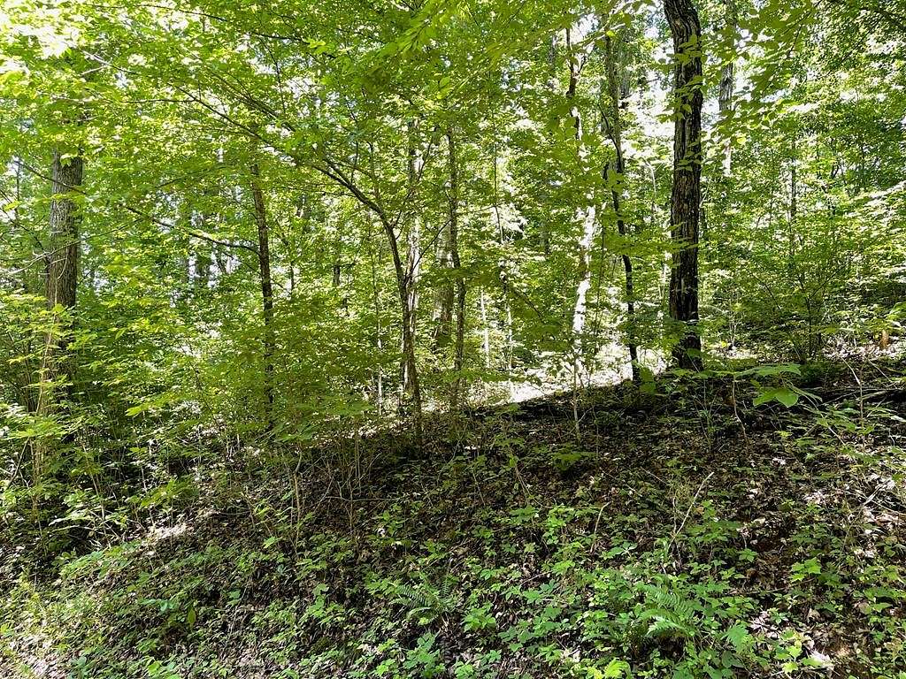 1.398 Acres of Land for Sale in Hiawassee, Georgia