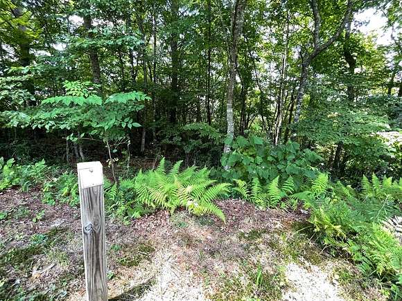 1.003 Acres of Land for Sale in Hiawassee, Georgia