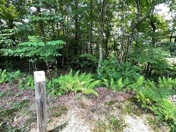 1 Acre of Land for Sale in Hiawassee, Georgia