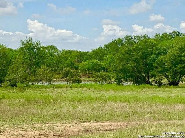 42 Acres of Land for Sale in Poth, Texas