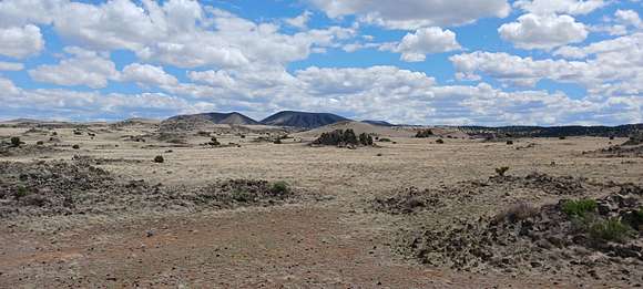 1 Acre of Residential Land for Sale in Concho, Arizona