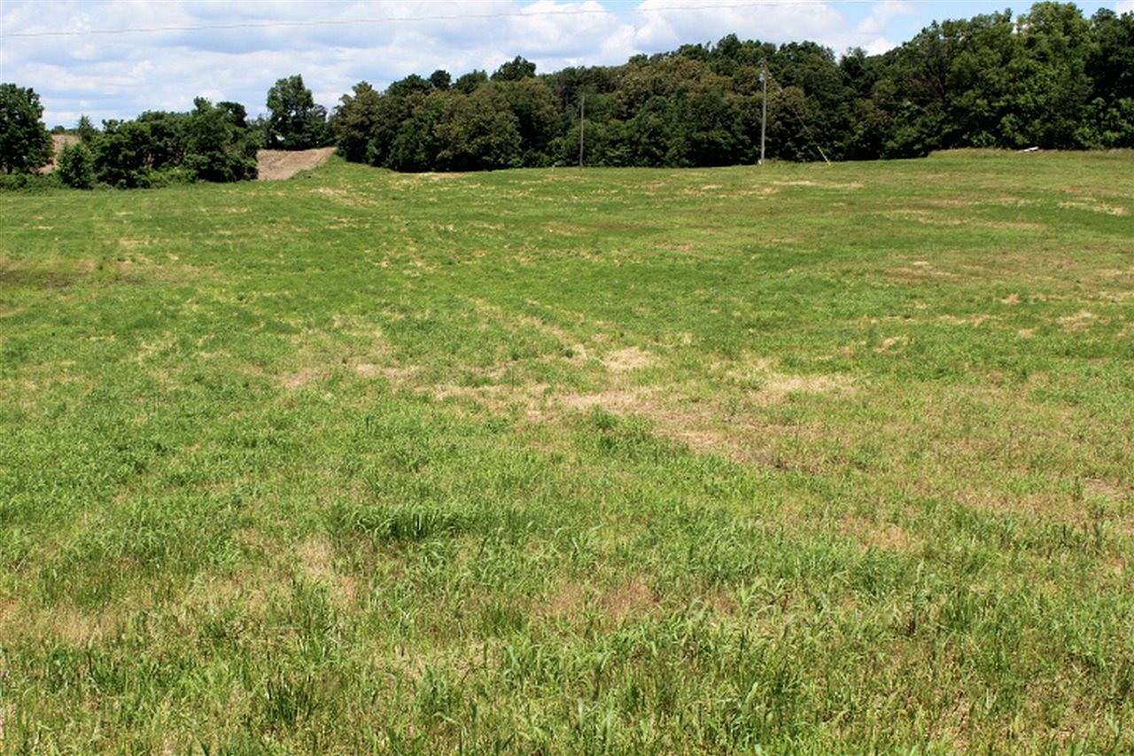 19.74 Acres of Agricultural Land for Sale in Hardyville, Kentucky