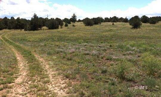 5.36 Acres of Land for Sale in Cotopaxi, Colorado