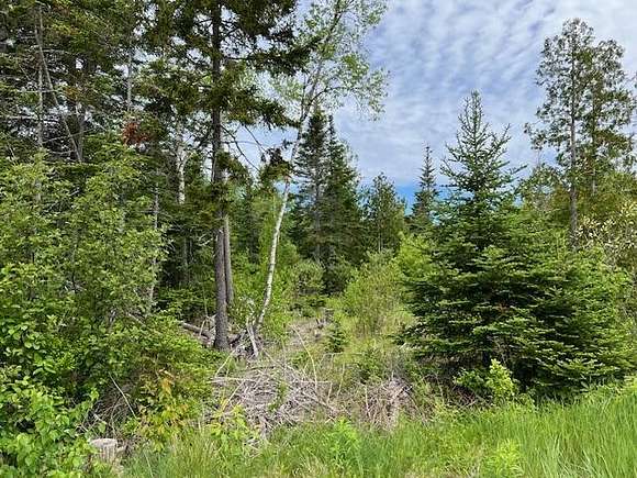 2 Acres of Land for Sale in Pembroke, Maine