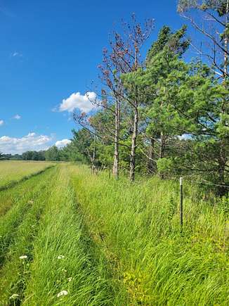 9.24 Acres of Land for Sale in Junction City, Wisconsin