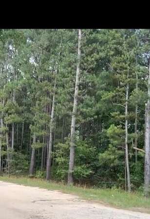 1.7 Acres of Land for Sale in Trenton, South Carolina