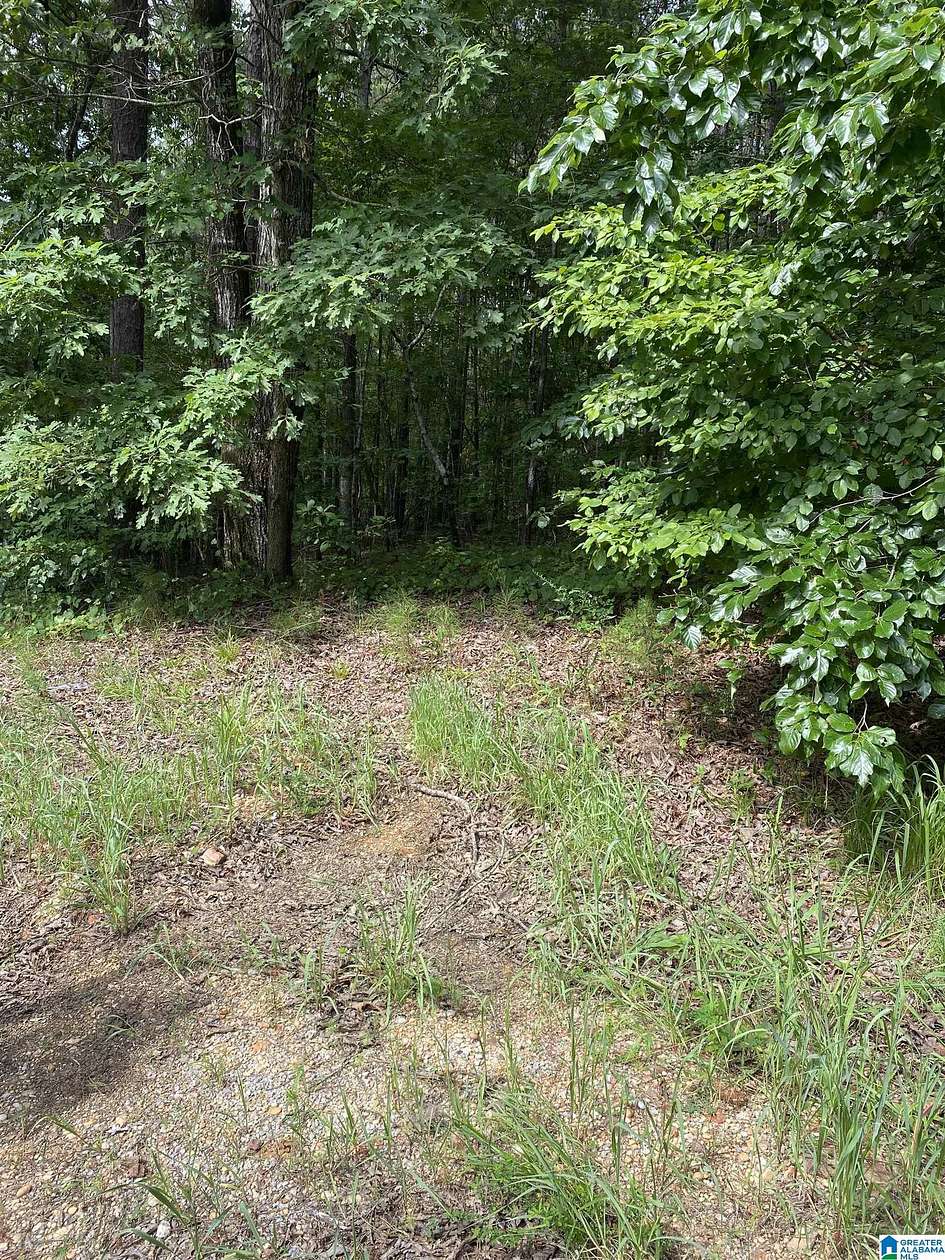 0.48 Acres of Residential Land for Sale in McCalla, Alabama