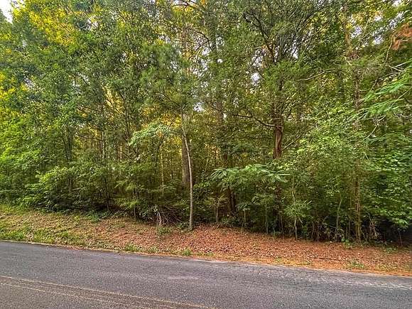 3.05 Acres of Residential Land for Sale in Tunnel Hill, Georgia