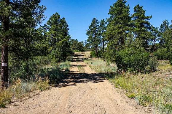 23.3 Acres of Recreational Land for Sale in Weston, Colorado