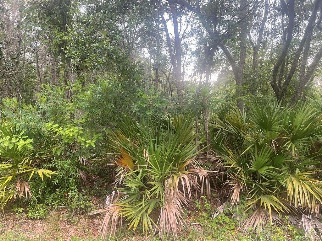 1.15 Acres of Residential Land for Sale in Crystal River, Florida