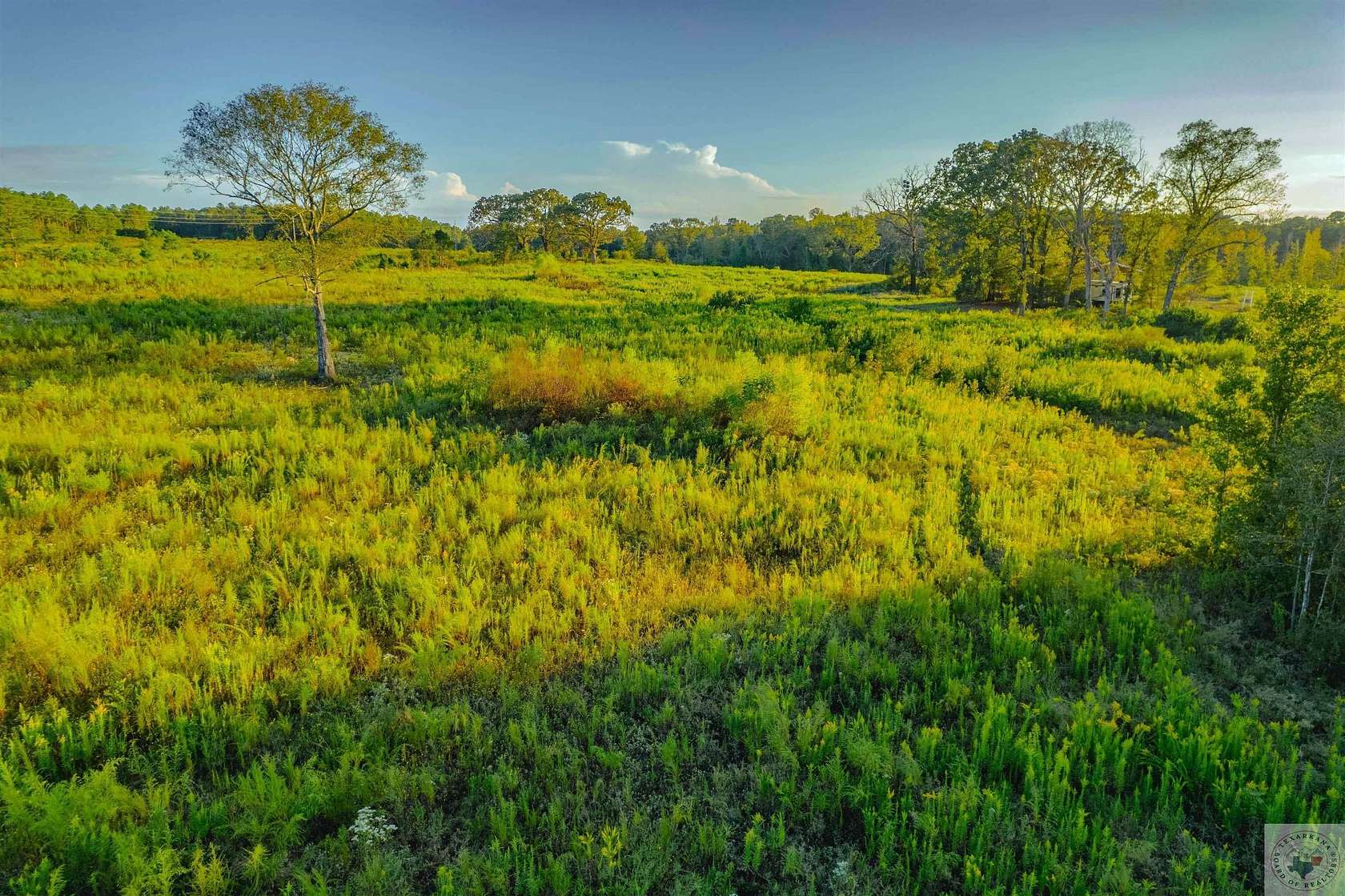 23 Acres of Land for Sale in Atlanta, Texas