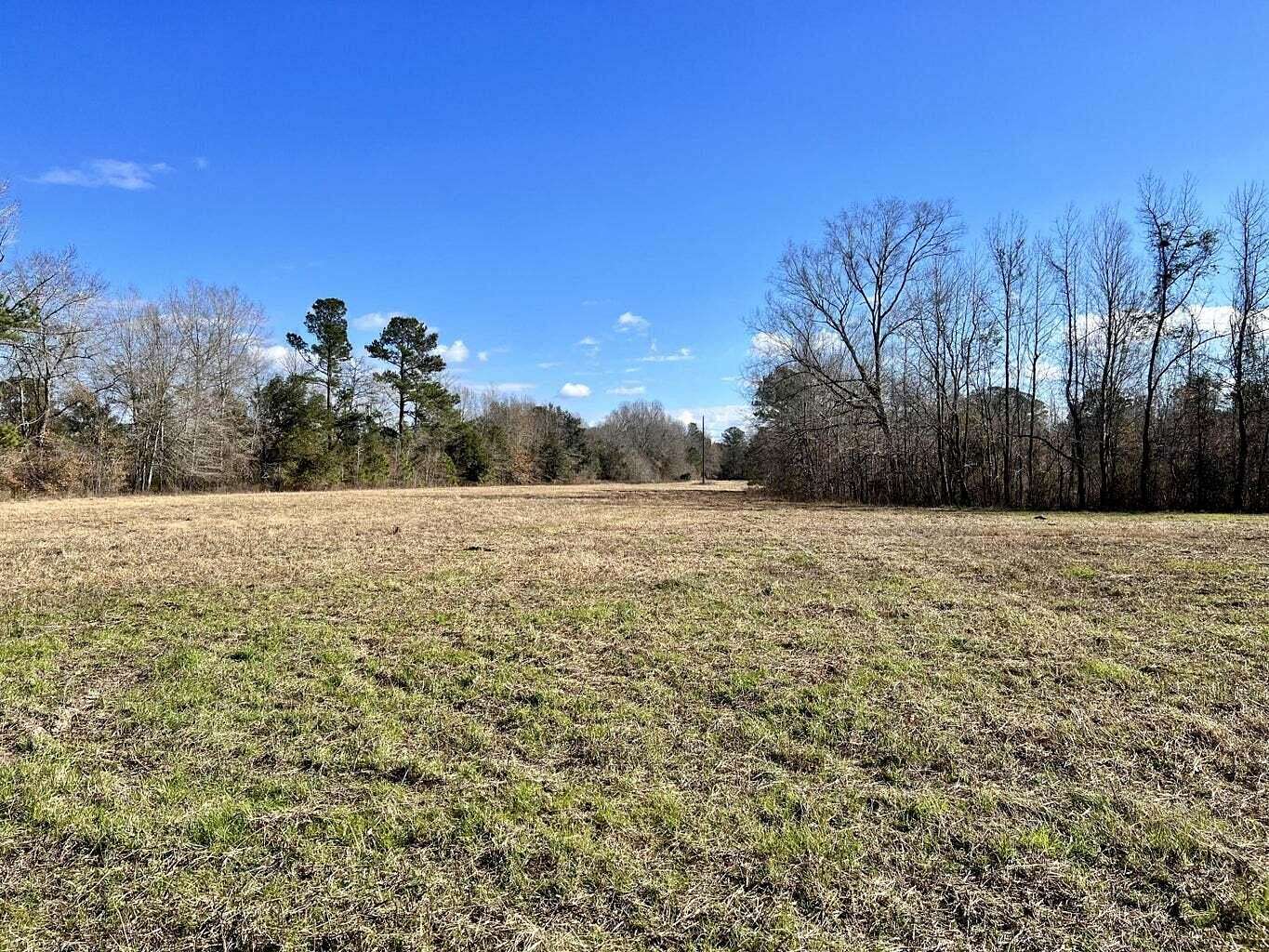 7.47 Acres of Residential Land for Sale in Bonneau, South Carolina