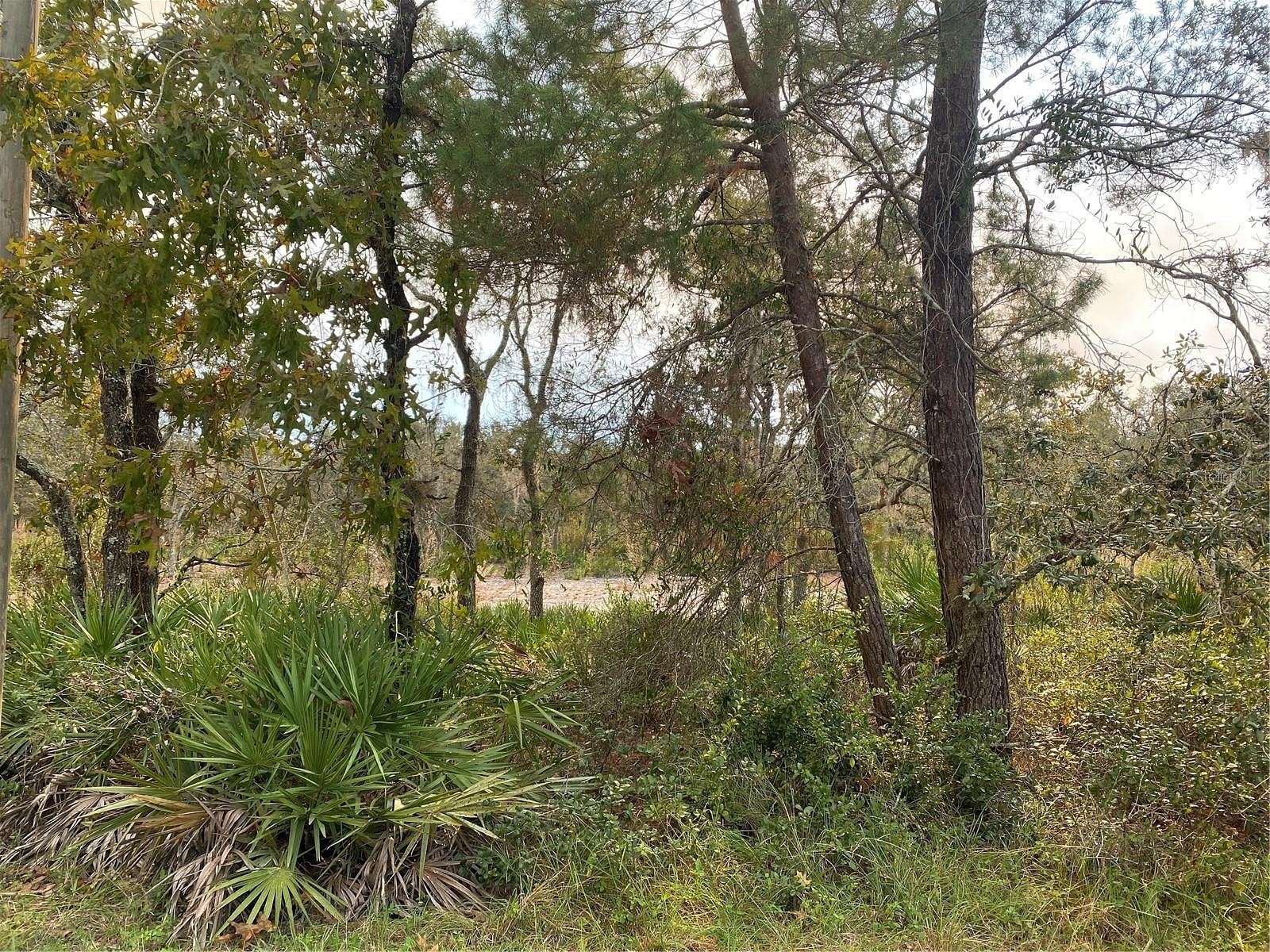 3.12 Acres of Residential Land for Sale in Frostproof, Florida