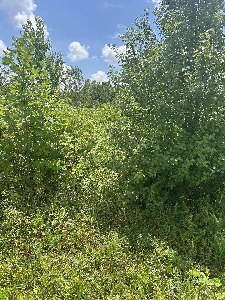 0.67 Acres of Residential Land for Sale in Nancy, Kentucky