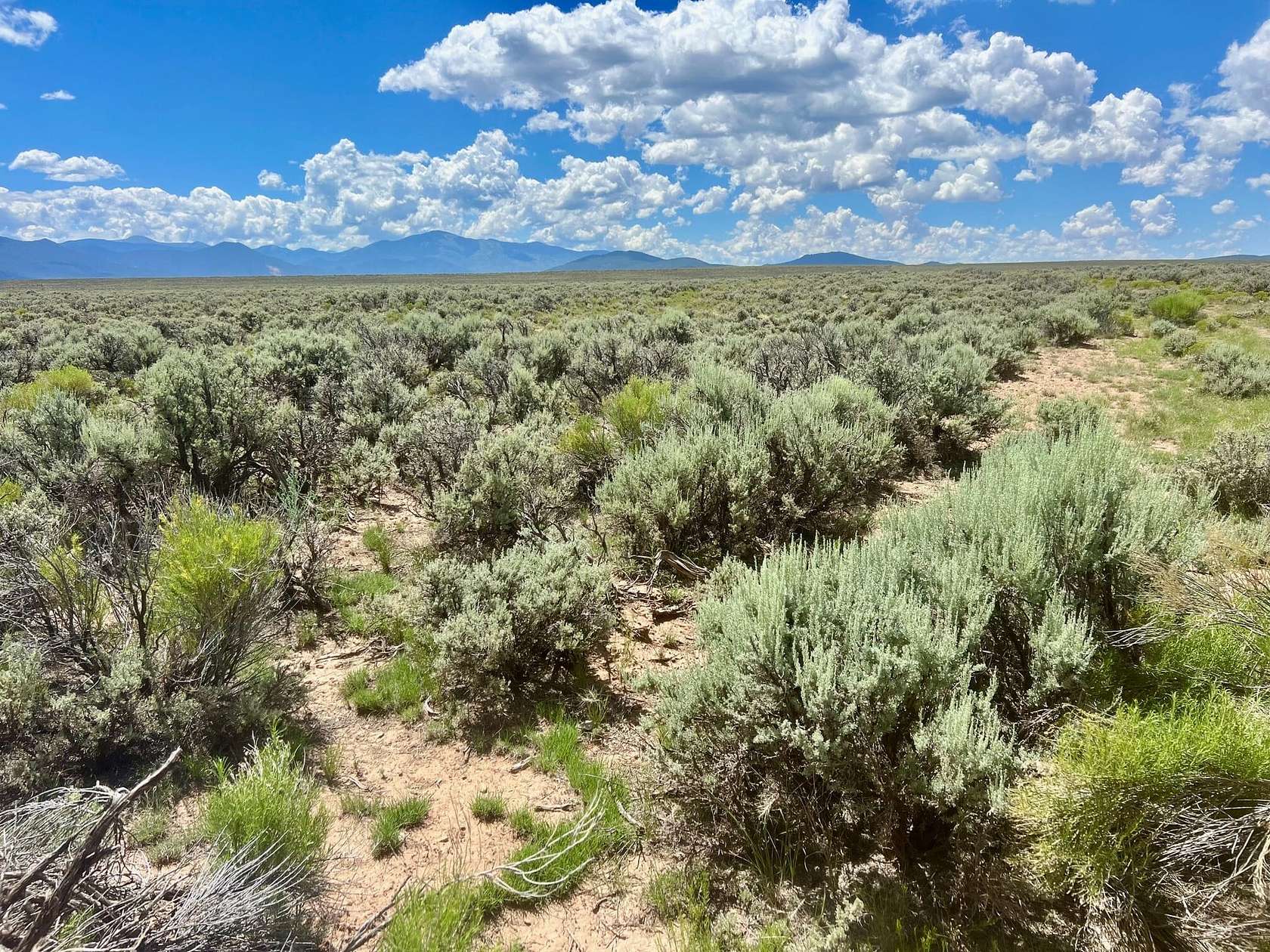 120.16 Acres of Recreational Land for Sale in Questa, New Mexico