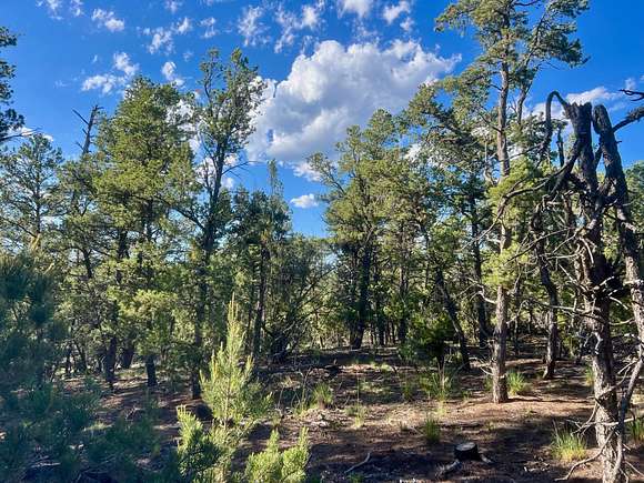 26 Acres of Recreational Land for Sale in Glorieta, New Mexico