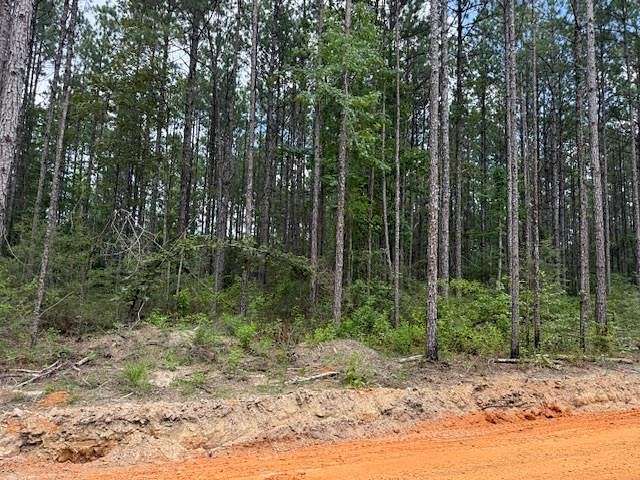 3.965 Acres of Residential Land for Sale in Carriere, Mississippi