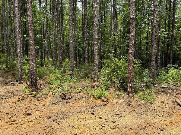 4 Acres of Residential Land for Sale in Carriere, Mississippi