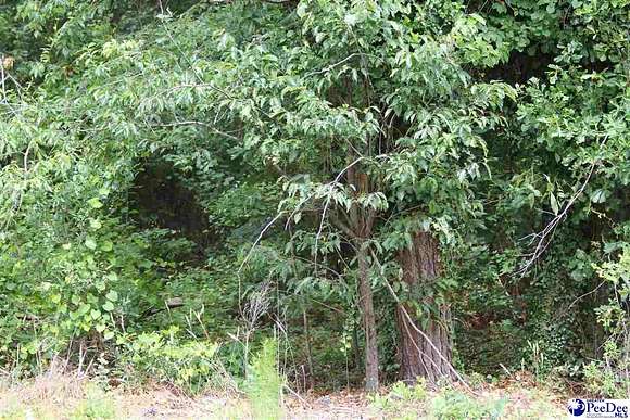 1 Acres of Residential Land for Sale in Hartsville, South Carolina