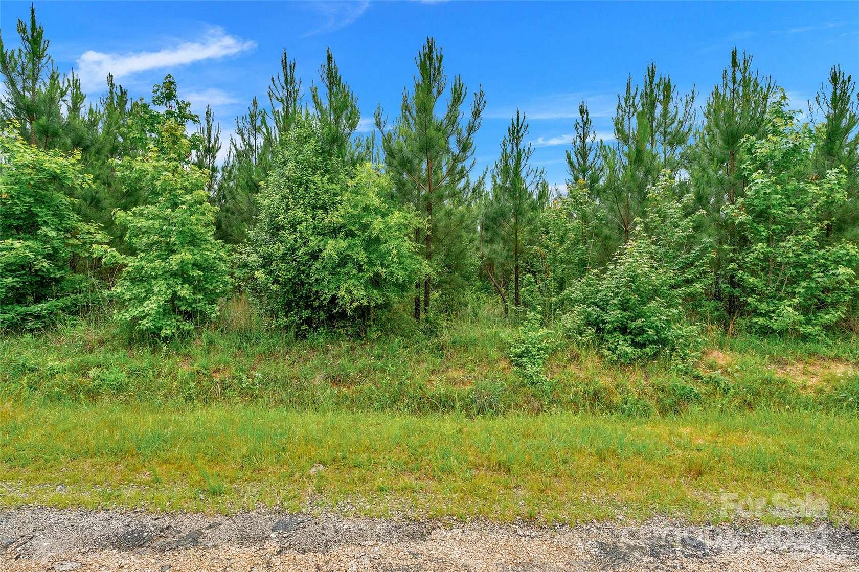3 Acres of Residential Land for Sale in Fort Lawn, South Carolina