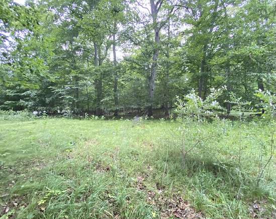 10 Acres of Recreational Land for Sale in Paris, Michigan