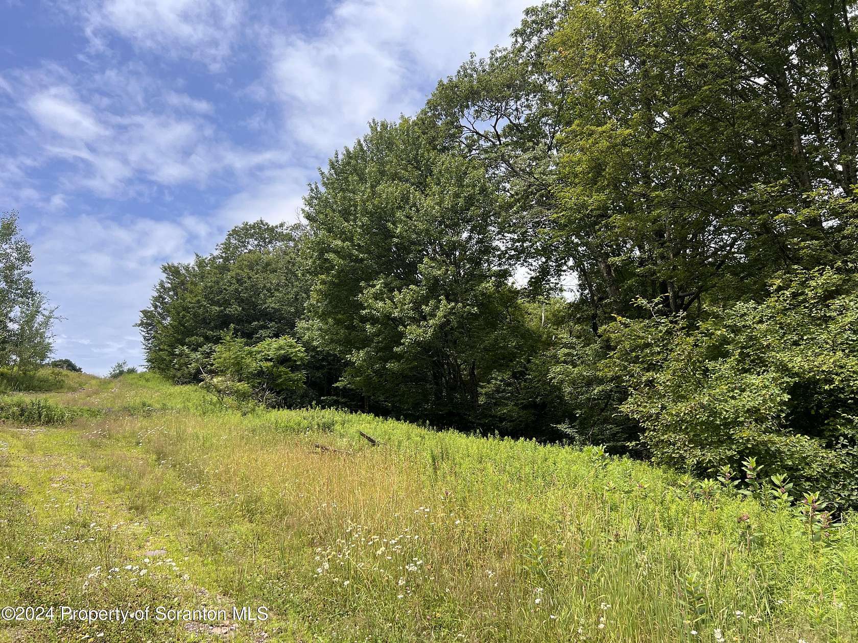 5.01 Acres of Residential Land for Sale in Union Dale, Pennsylvania