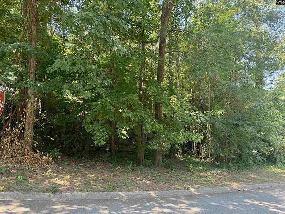 0.51 Acres of Residential Land for Sale in Columbia, South Carolina