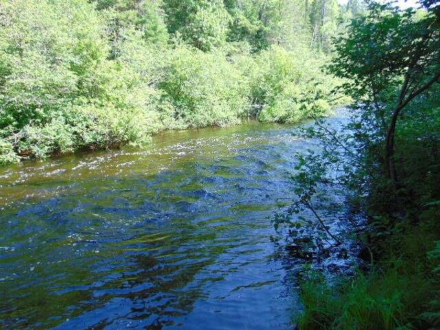 16 Acres of Recreational Land for Sale in Newberry, Michigan