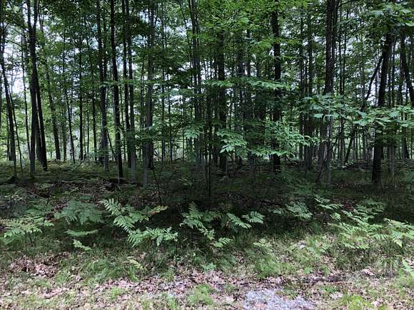 0.5 Acres of Residential Land for Sale in Canadian Lakes, Michigan