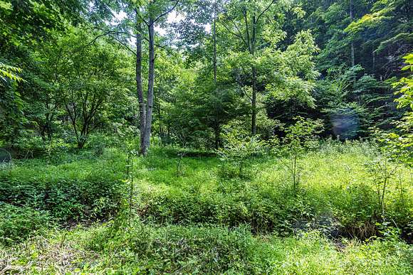 64.3 Acres of Recreational Land & Farm for Sale in Bristol, Virginia