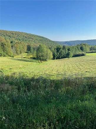 11.5 Acres of Land for Sale in Berne, New York