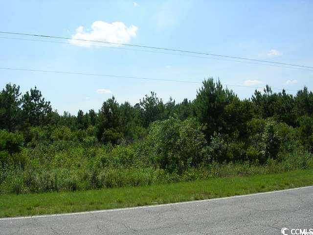 16.65 Acres of Land for Sale in Green Sea, South Carolina