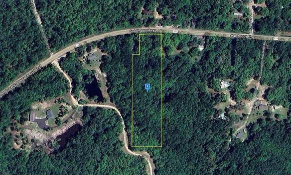 4.8 Acres of Land for Sale in Sopchoppy, Florida