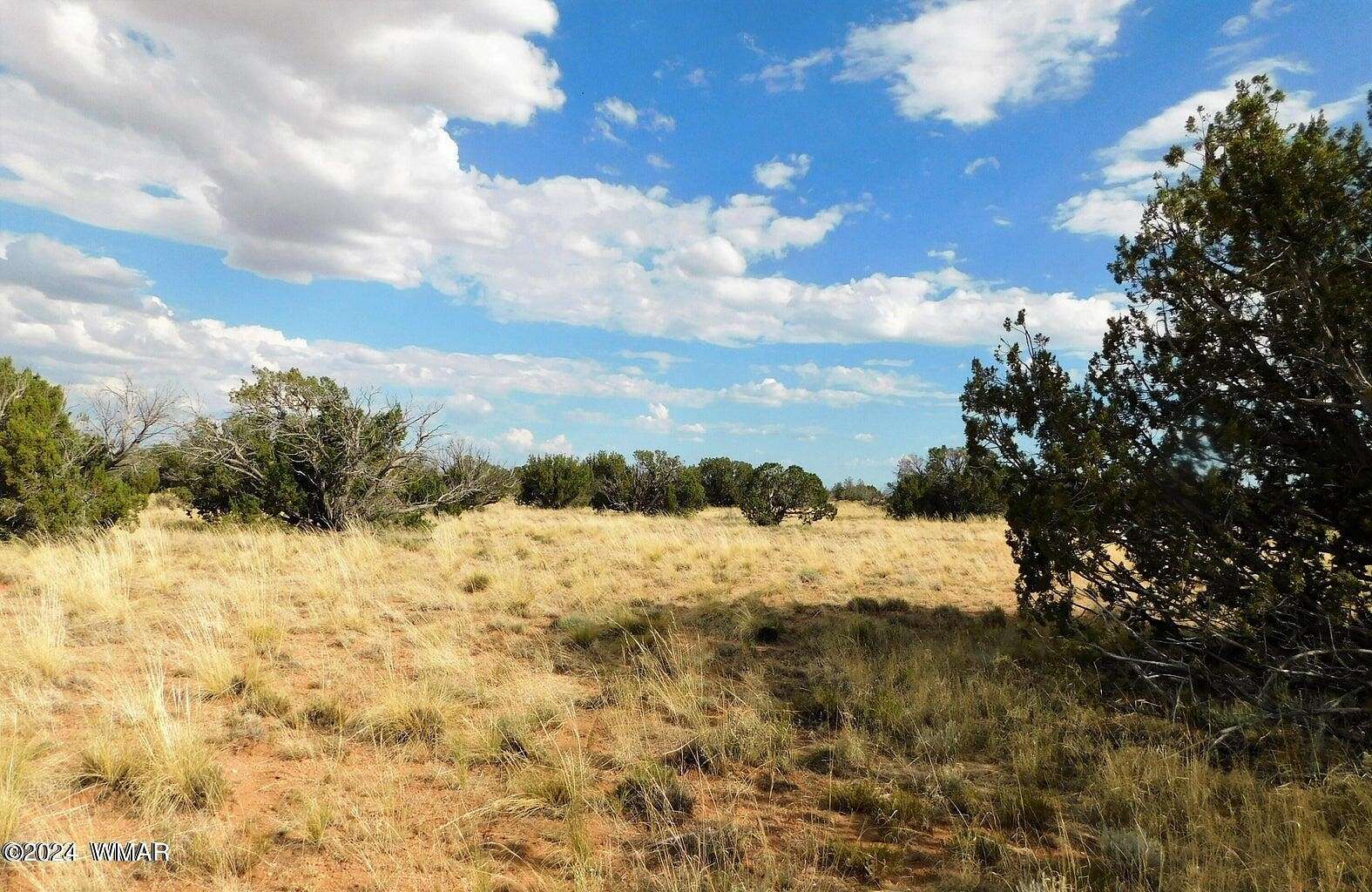 36.25 Acres of Recreational Land for Sale in Heber, Arizona