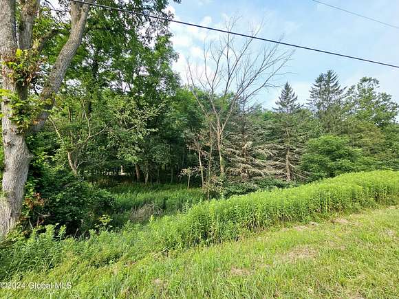 29.7 Acres of Recreational Land for Sale in Broome Town, New York