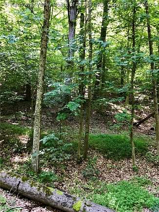 4.3 Acres of Land for Sale in Scott Depot, West Virginia