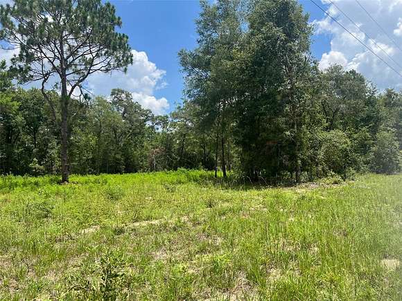 1.25 Acres of Residential Land for Sale in Bronson, Florida