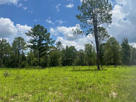 1.25 Acres of Residential Land for Sale in Bronson, Florida