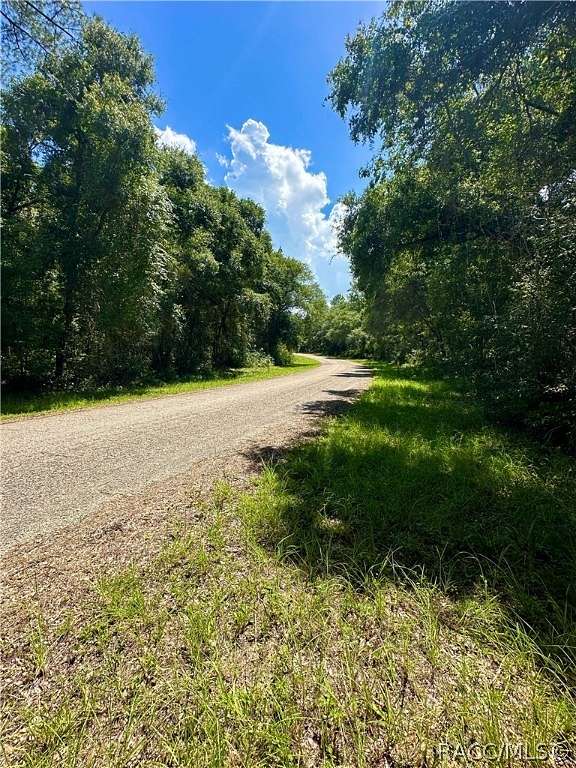 0.36 Acres of Residential Land for Sale in Citrus Springs, Florida